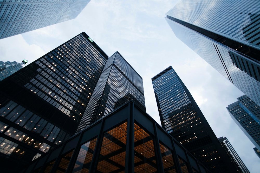 Annual ROC Compliance & Secretarial Audit for Section 8 Foundation